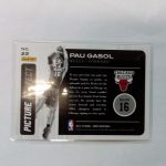 Gasol, Pau - Image 2