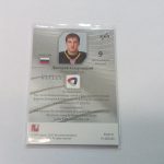 Kagarlitsky, Dmitry - KHL 15-16 - Image 2