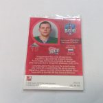 Loginov, Alexander - KHL 15-16 - Image 2