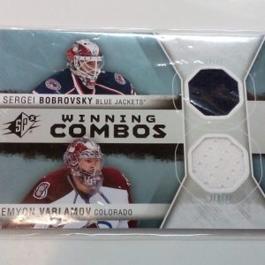 Bobrovsky, Sergei / Varlamov, Semyon - NHL 14-15