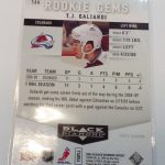 Galiardi, T. J. - NHL 2009-10 - Image 2