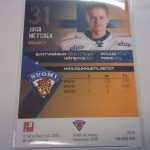 Metsola, Juha - Leijonat 2016 - Image 2