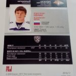 Semin, Alexander - KHL 16-17 - Image 2