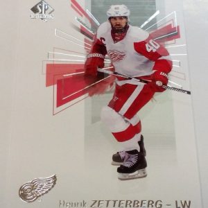 Zetterberg, Henrik - NHL 2016-17
