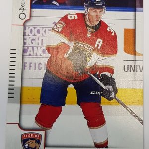 Jokinen, Jussi - NHL 2017-8