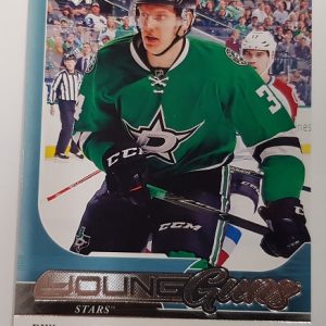 Gurianov, Denis - NHL 2017-18