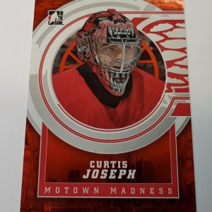 Joseph, Curtis - NHL 2013