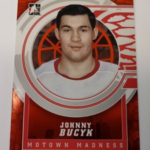 Bucyk, Johnny - NHL 2013