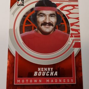 Boucha, Henry - NHL 2013