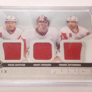 Datsyuk / Howard / Zetterberg / Halak / Stewart / Berglund - NHL 2012-13