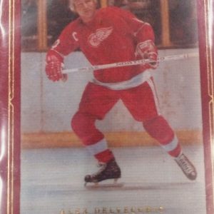 Delvecchio, Alex - NHL 2008-09