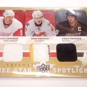 Lidstrom, Nicklas / Phaneuf, Dion / Pronger, Chris - NHL 2008-09