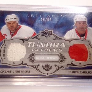 Lidstrom, Nicklas / Chelios, Chris - NHL 2008-09