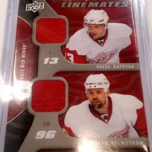 Datsyuk/Holmstrom - NHL 2009-10