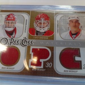 Hasek/Osgood/Chelios - NHL 2008-09