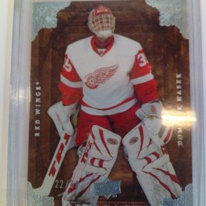 Hasek, Dominic - NHL 2008-09