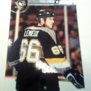 Lemieux, Mario - NHL 2001-2