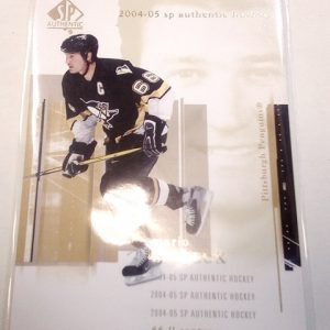 Lemieux, Mario - NHL 2004-05