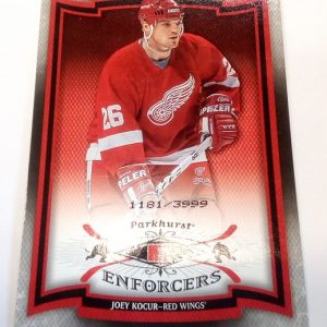 Kocur, Joey - NHL 2006-07