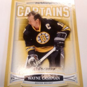 Cashman, Wayne - NHL 2006-07