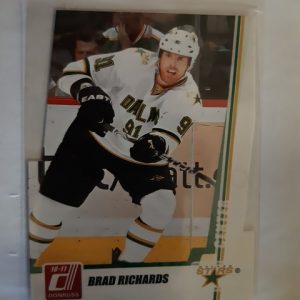 2010-11 Donruss Die-cut /30 Brad Richards