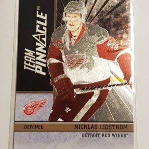 Lidstrom, Nicklas / Myers, Tyler - NHL 2011