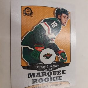 2018-19 O-pee-chee Marquee Rookie Retro Jordan Greenway