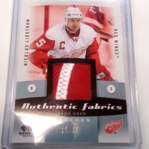 Lidstrom, Nicklas - NHL 2010-11