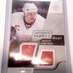 Lidstrom, Nicklas - NHL 2008-09