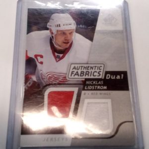 Lidstrom, Nicklas - NHL 2008-09