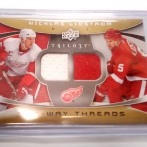 Lidstrom, Nicklas - NHL 2008-09