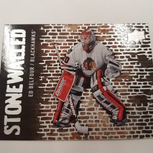 2018-19 Upper Deck Stonewalled Ed Belfour