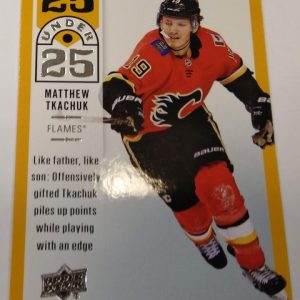 Tkachuk, Matthew - NHL 2018-19