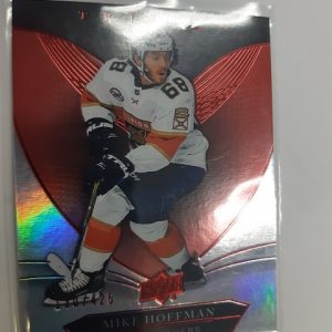 2018-19 Trilogy Ruby Parallel Mike Hoffman /425