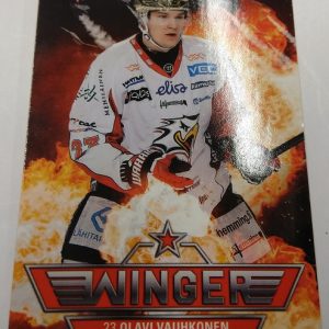 Vauhkonen, Olavi - SM-Liiga 2018-19