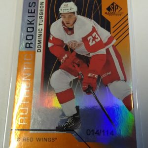 Turgeon, Dominic - NHL 2018-19