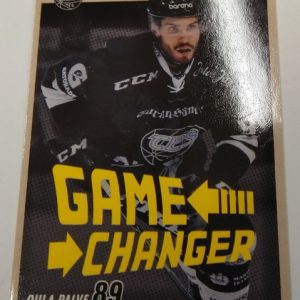 Palve, Oula - SM-Liiga 2018-19