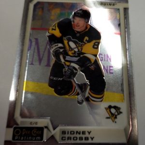 Crosby, Sidney - NHL 2018-19