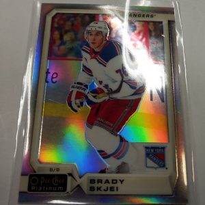 Skjei, Brady - NHL 2018-19