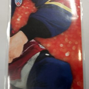 Moses, Steve - KHL 2014-15 Puzzle