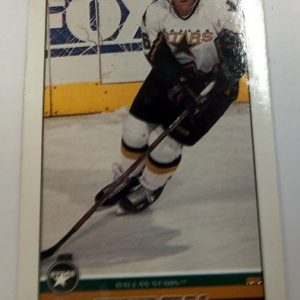 Hull, Brett - NHL 2001