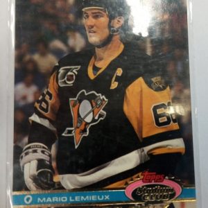 Lemieux, Mario - NHL 1991-92