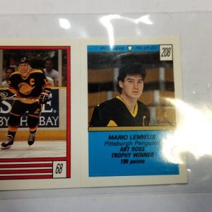 Lemieux, Mario - NHL 1989