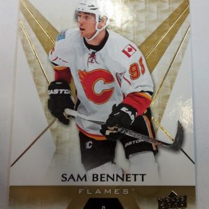 Bennet, Sam - NHL 2016-17