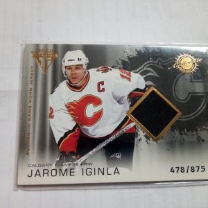 Iginla, Jarome - NHL 2004