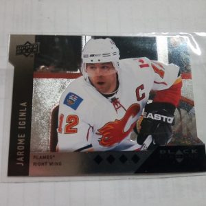 Iginla, Jarome - NHL 2009-10