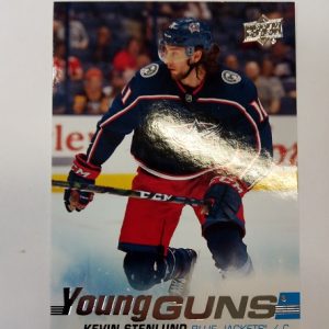 Stenlund, Kevin - NHL 2019-20