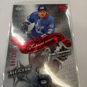 Skorokhodov, Igor - KHL 2012-13