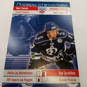 Gorokhou, Ilya - KHL 2012-13