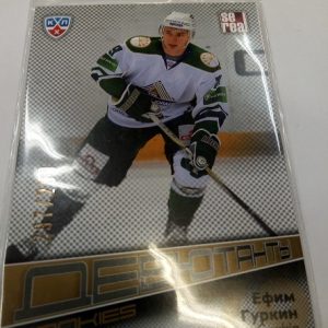 Gurkin, Yefim - KHL 2012-13